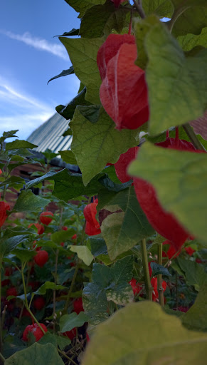 Park «Ravenna Park», reviews and photos, 5520 Ravenna Ave NE, Seattle, WA 98105, USA