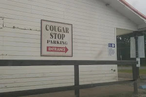 Cougar Stop image
