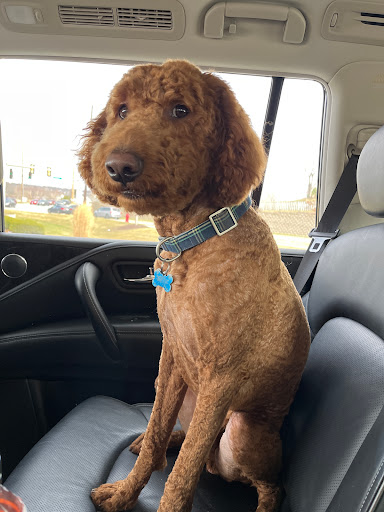 Pet Supply Store «Petco Animal Supplies», reviews and photos, 1450 Twixt Town Rd, Marion, IA 52302, USA