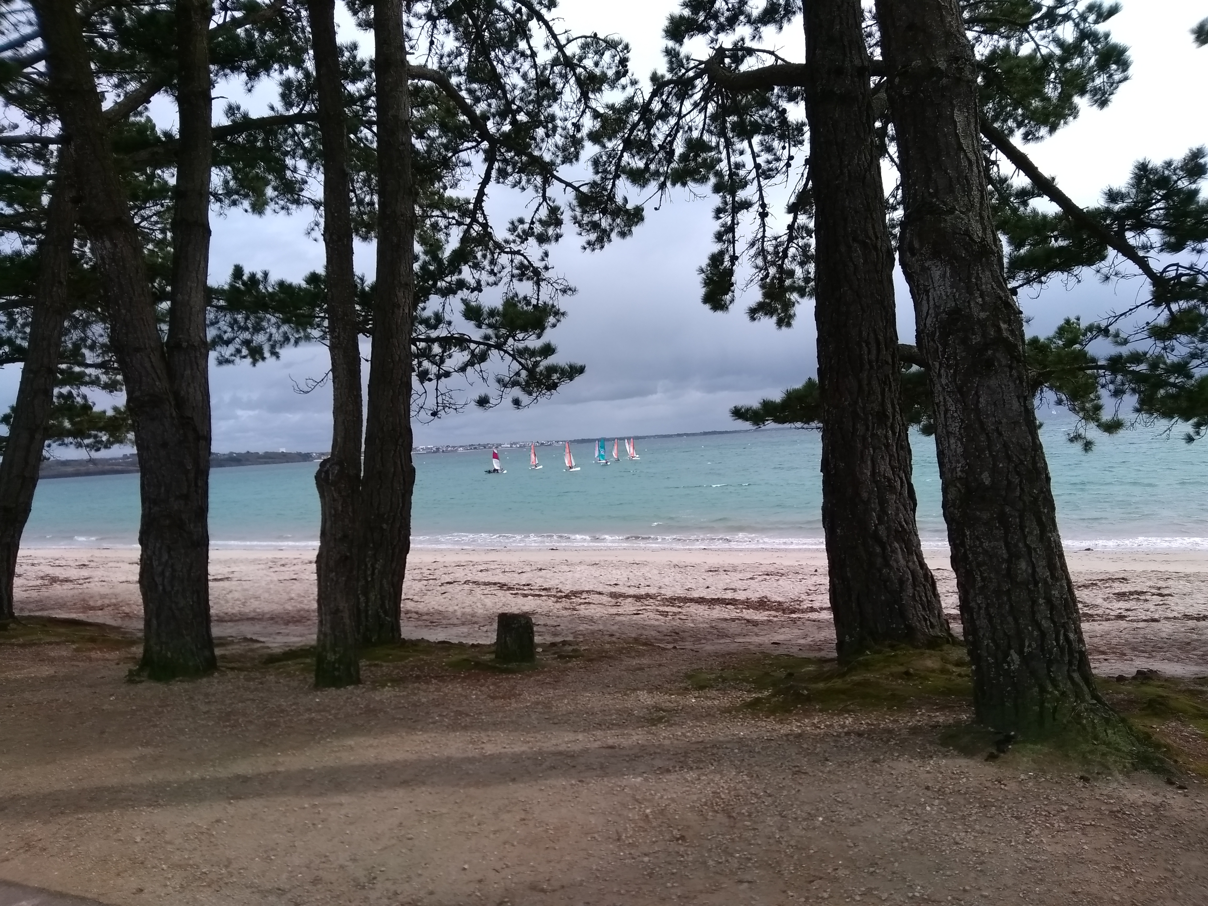 Photo n° 2 de l'avis de Jane.r fait le 08/04/2019 à 11:42