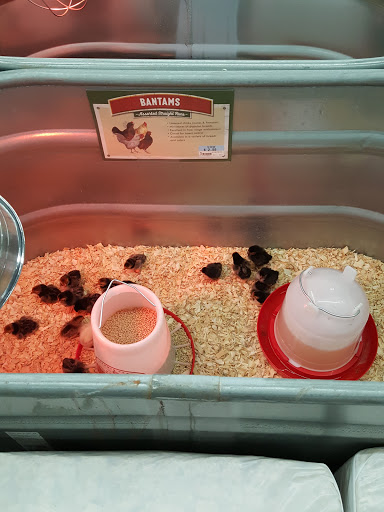 Home Improvement Store «Tractor Supply Co.», reviews and photos, 23788 Mervell Dean Rd, Hollywood, MD 20636, USA