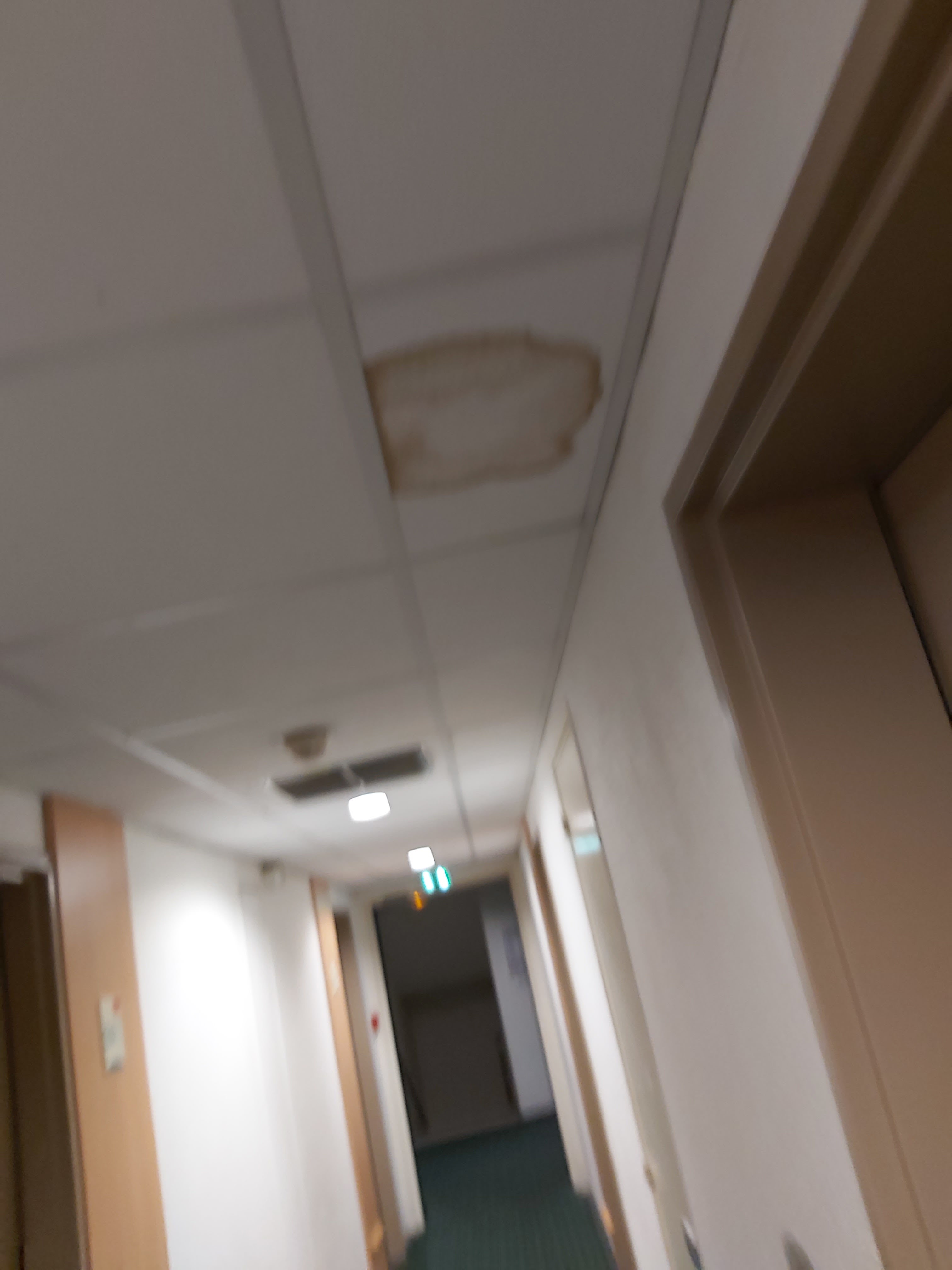 Photo n° 4 de l'avis de Maresi.a fait le 31/10/2019 à 08:20