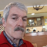 Photo n°1 de l'avis de POMPEO.O fait le 16/04/2017 à 20:45 sur le  Hotel Dinosauro B&B à Cesenatico