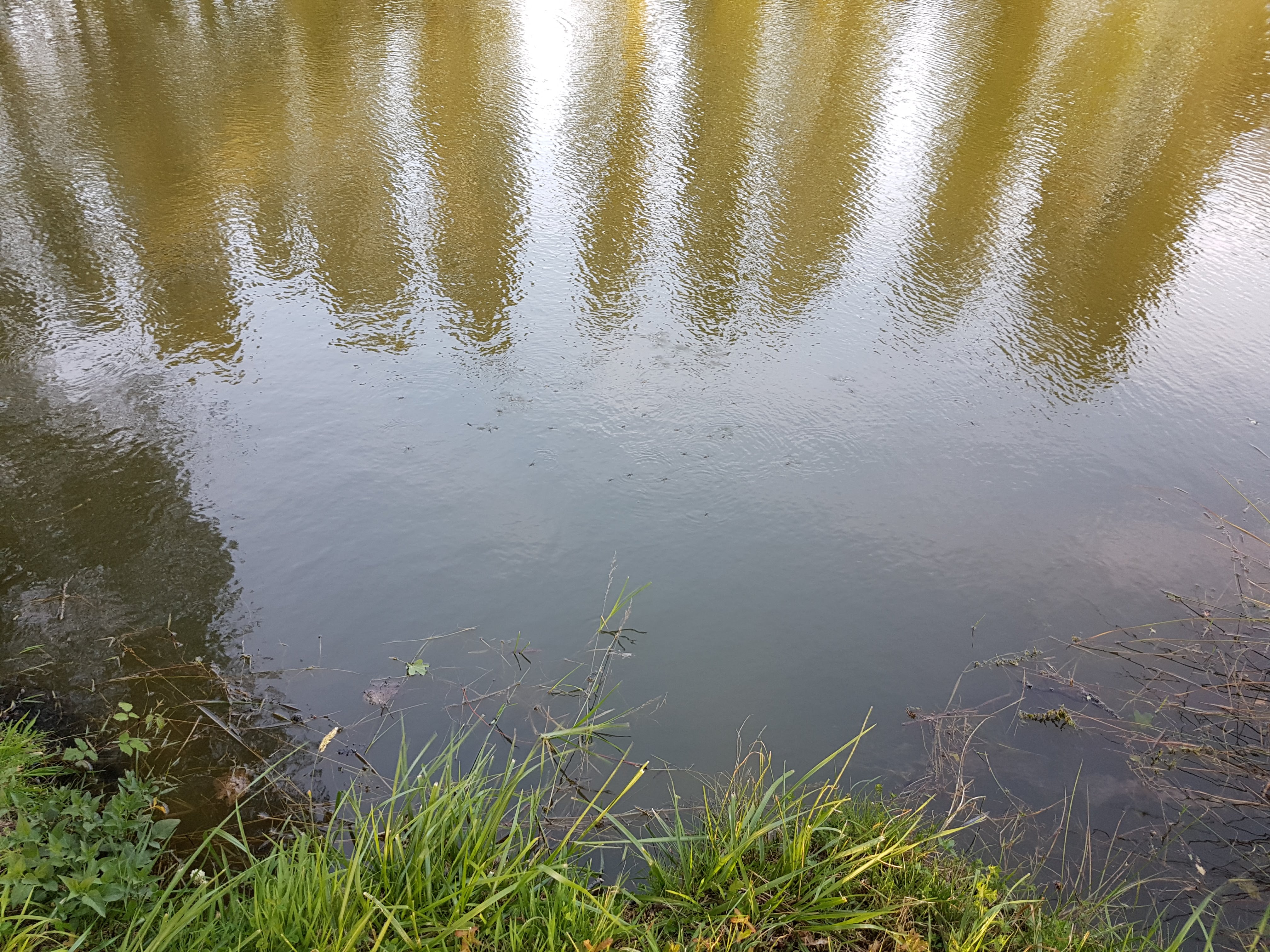 Photo n° 1 de l'avis de Agathe.E fait le 14/08/2018 à 11:10