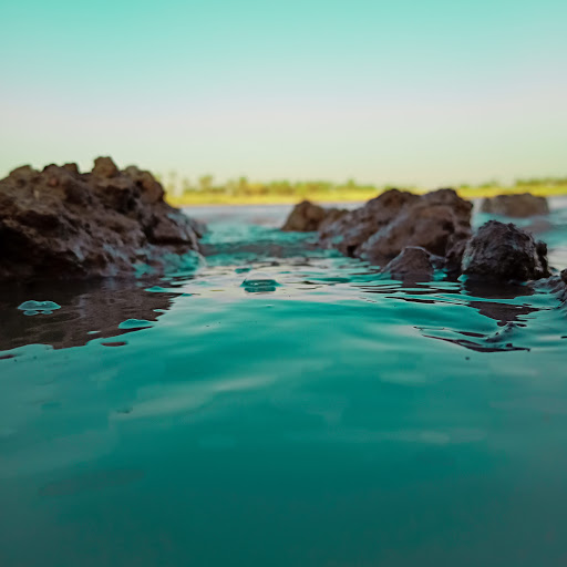 Stadium «Pepsi Center», reviews and photos, 1000 Chopper Cir, Denver, CO 80204, USA