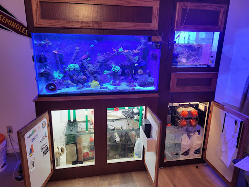 Tropical Fish Store «Glasscages.com LLC», reviews and photos, 1500 E Piney Rd, Dickson, TN 37055, USA