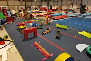 Coventry Phoenix Gymnastics Club CIO image