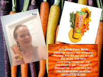 Alisha’s Wag Dog Walking plus services - Photo 6 - Car repair in Holiday, FL, Clearwater