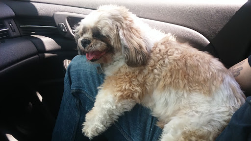 Ear Piercing Service «Ink Addiction», reviews and photos, 11607 Telegraph Rd, Taylor, MI 48180, USA