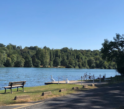 SPL Melun Val de Seine Aménagement à Dammarie-les-Lys