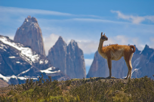 Vaya Adventures image