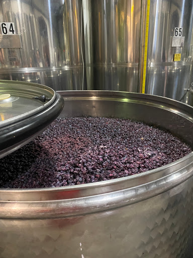 Winery «Keel and Curley Winery», reviews and photos, 5210 Thonotosassa Rd, Plant City, FL 33565, USA