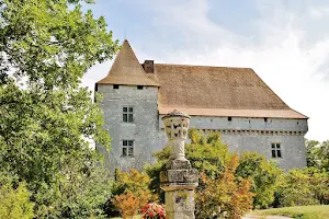 Château de Goudourville image