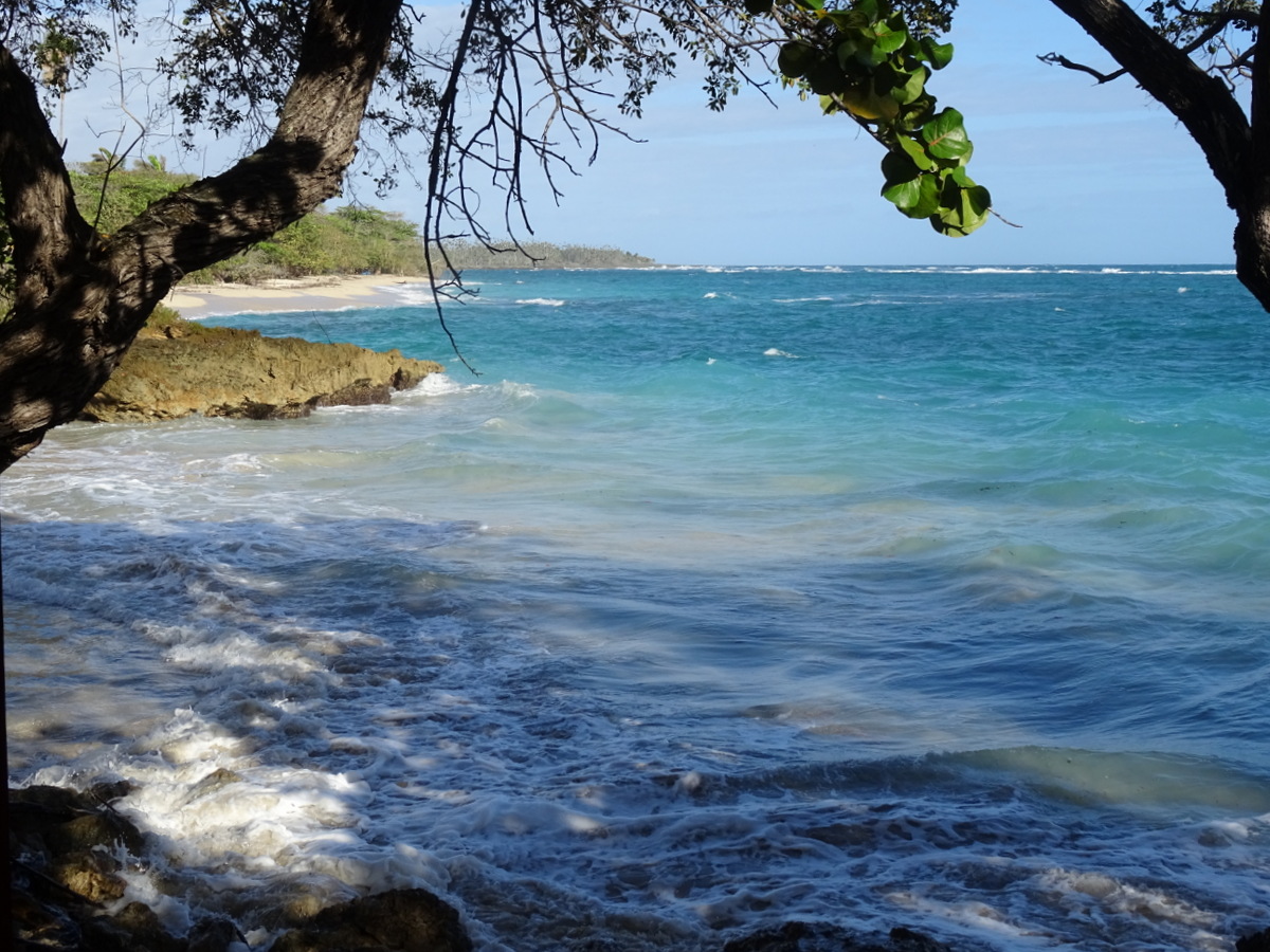 Photo de Playa de Nibujon avec l'eau turquoise de surface