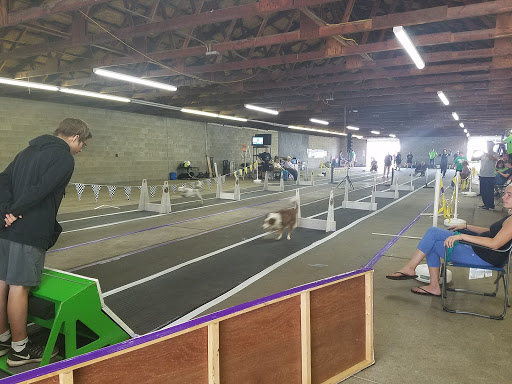 Fairground «Wayne County Fair Grounds», reviews and photos, 10871 Quirk Rd, Belleville, MI 48111, USA