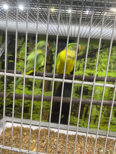 Pet Store «Carters Pet Mart», reviews and photos, 510 N Main St, Manteca, CA 95336, USA