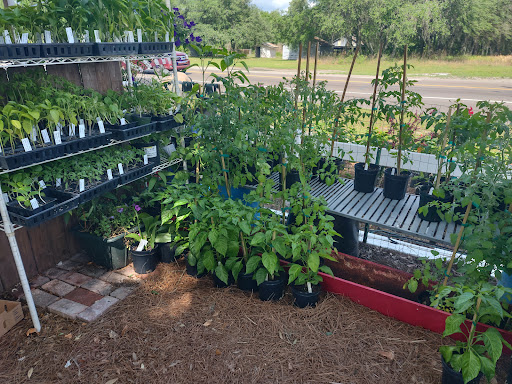 Produce Market «Crossroads Produce», reviews and photos, 10463-10487 S County Rd 39, Lithia, FL 33547, USA
