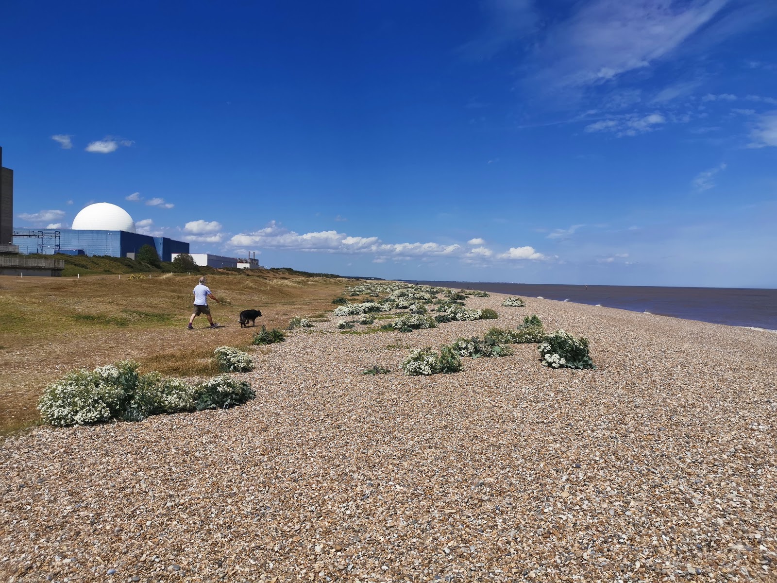 Foto af Sizewell Beach med lang lige kyst