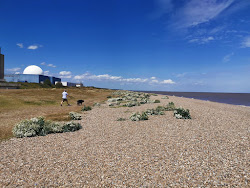 Sizewell Beach'in fotoğrafı çok temiz temizlik seviyesi ile