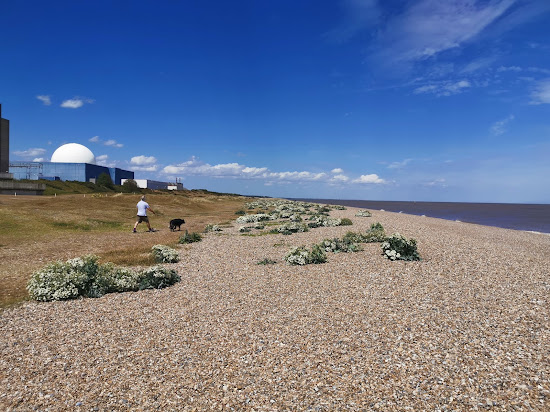 Sizewell Beach