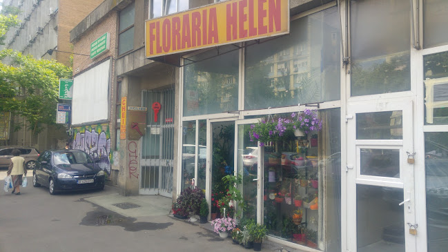 Florăria Helen - <nil>