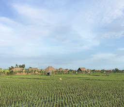 Cultural Village Kertalangu photo