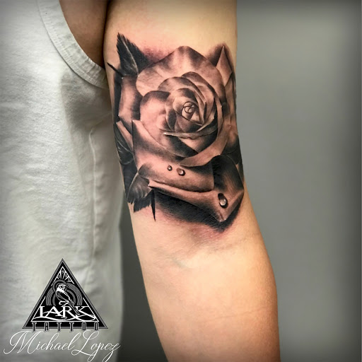 Explore branch tattoo ideas, creative tattoo ideas in Albany, available at Lark Street Tattoo