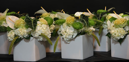 Florist «Urban Floral», reviews and photos, 671 Meriden Rd, Waterbury, CT 06705, USA