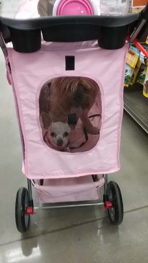 Pet Supply Store «Petco Animal Supplies», reviews and photos, 6720 Fox Centre Pkwy, Gloucester Courthouse, VA 23061, USA