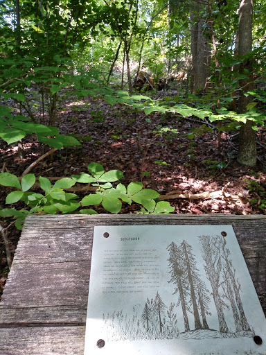 Nature Preserve «Piedmont Environmental Center», reviews and photos, 1220 Penny Rd, High Point, NC 27265, USA