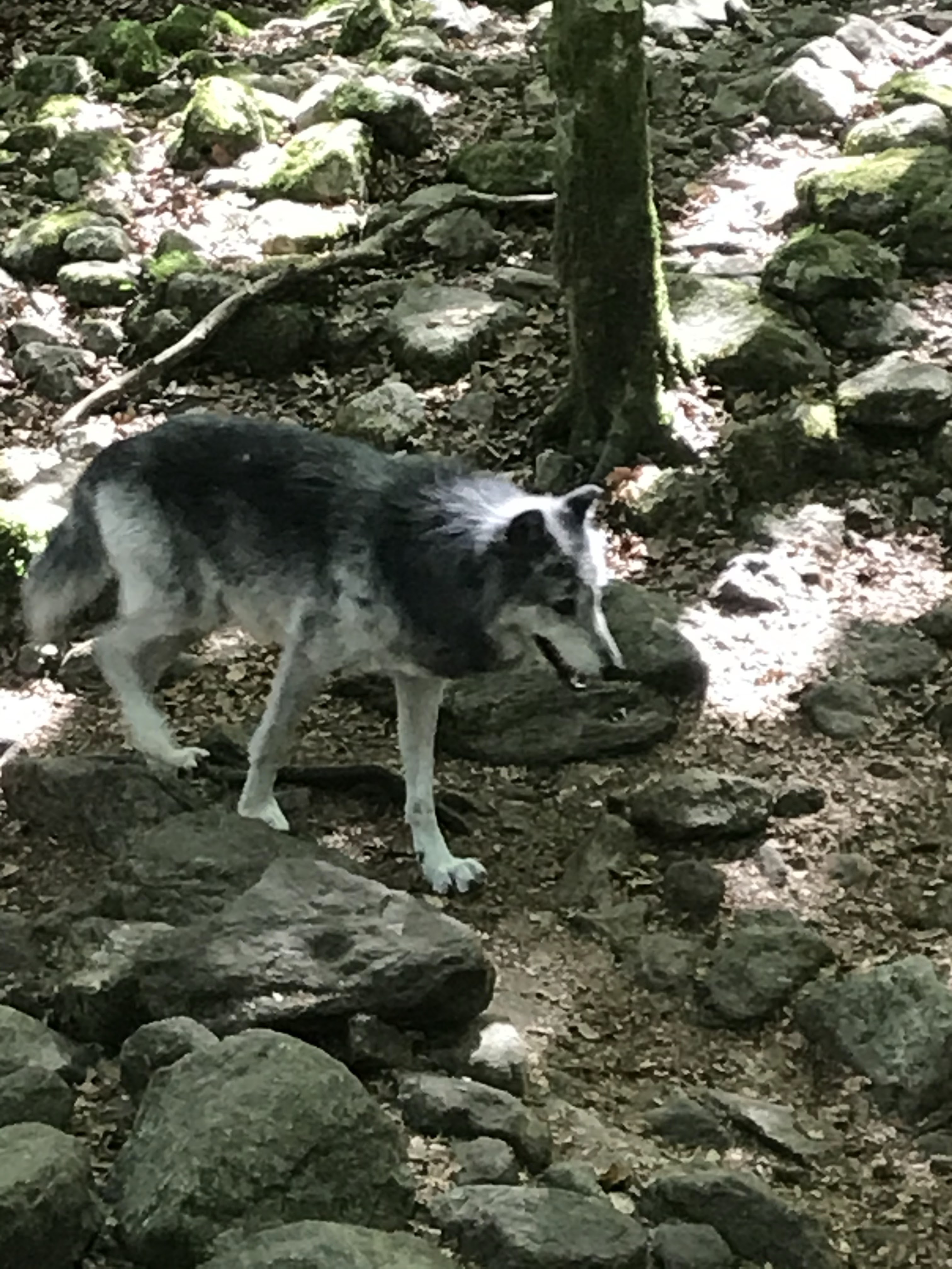 Photo n° 2 de l'avis de helene.i fait le 10/09/2020 à 12:49