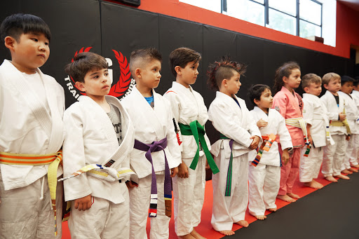Jujitsu School «Training Grounds Jiu-Jitsu & MMA», reviews and photos, 24 Booker St, Westwood, NJ 07675, USA