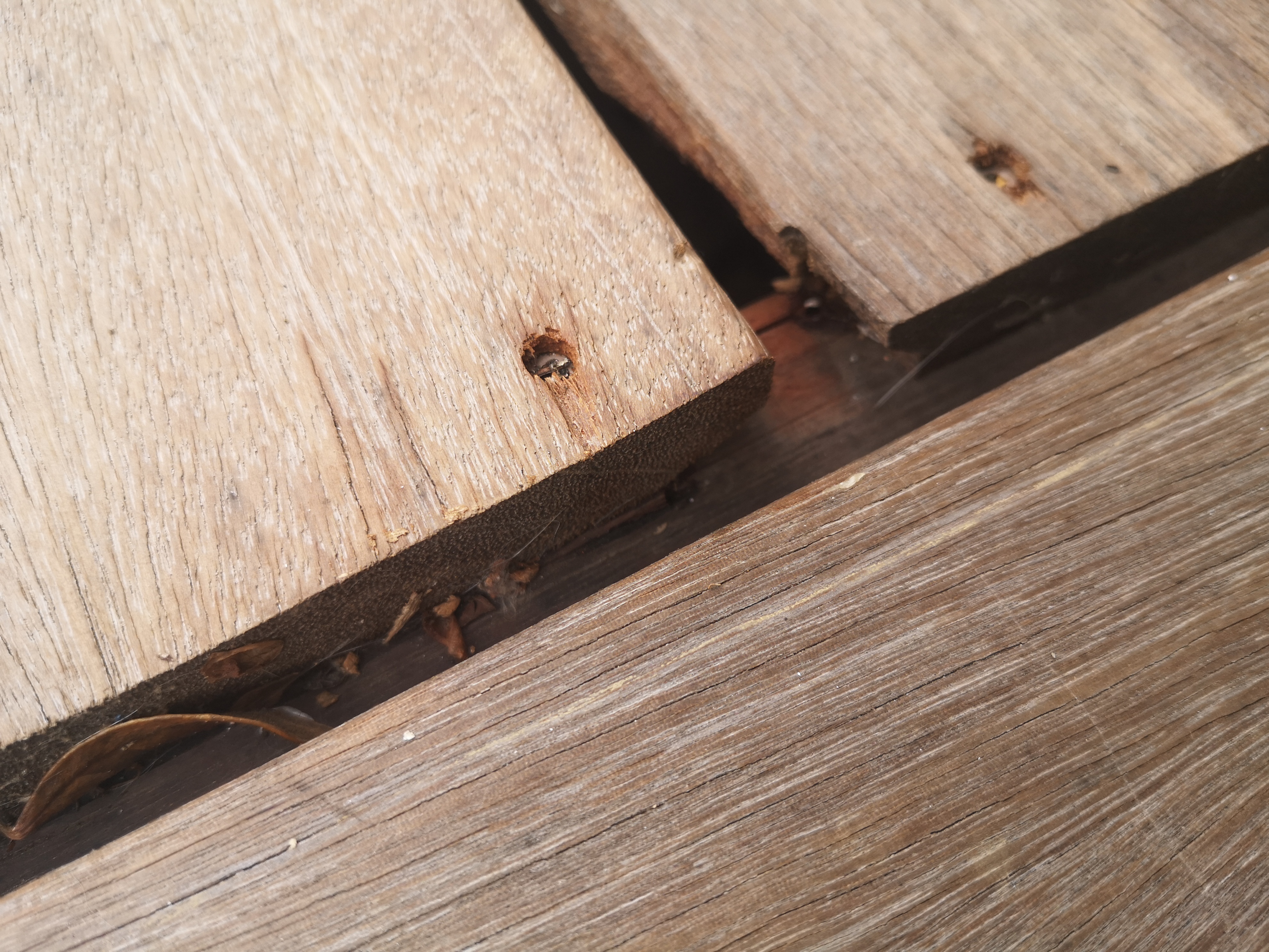 Photo n° 3 de l'avis de Catherine.e fait le 21/09/2022 à 15:17