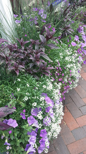 Park «Waterfront Promenade Park», reviews and photos, 22 Merrimac St, Newburyport, MA 01950, USA