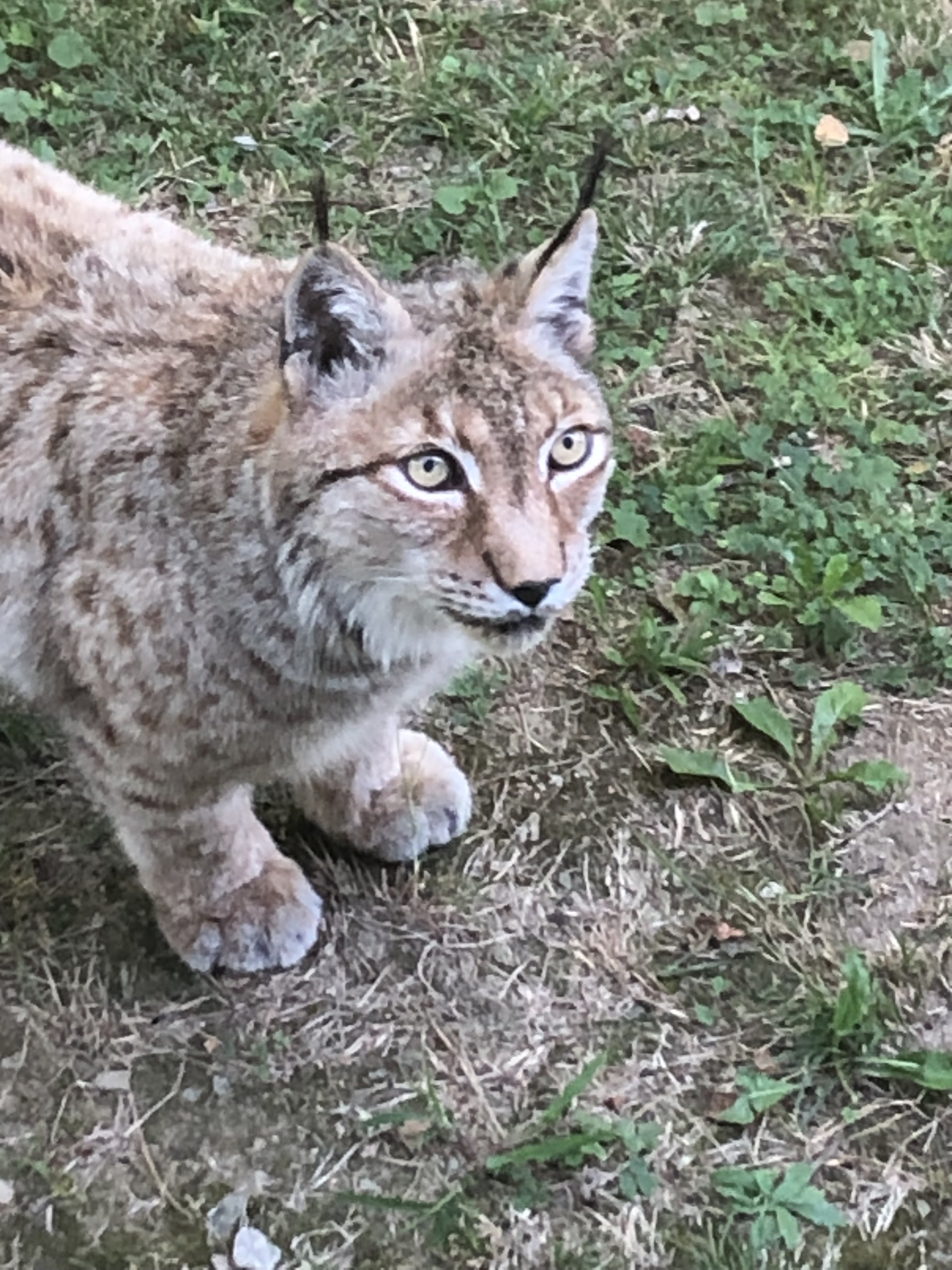 Photo n° 1 de l'avis de Laurence.E fait le 07/08/2023 à 14:35