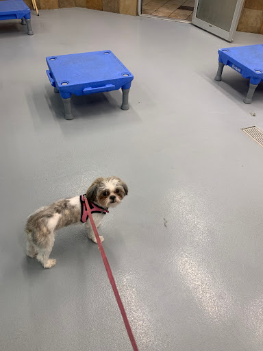 Pet Supply Store «PetSmart», reviews and photos, 9041 Snowden Square Dr, Columbia, MD 21045, USA