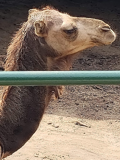 Zoo «Cricket Hollow Zoo», reviews and photos, 1512 210th St, Manchester, IA 52057, USA