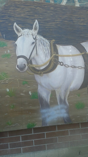 Car Detailing Service «Classy Chassis Car Wash & Detailing Puyallup», reviews and photos, 105 7th Ave SE, Puyallup, WA 98372, USA