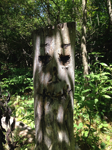 Disc Golf Course «Hudson Mills Disc Golf Course», reviews and photos, 8801 N Territorial Road, Dexter, MI 48130, USA