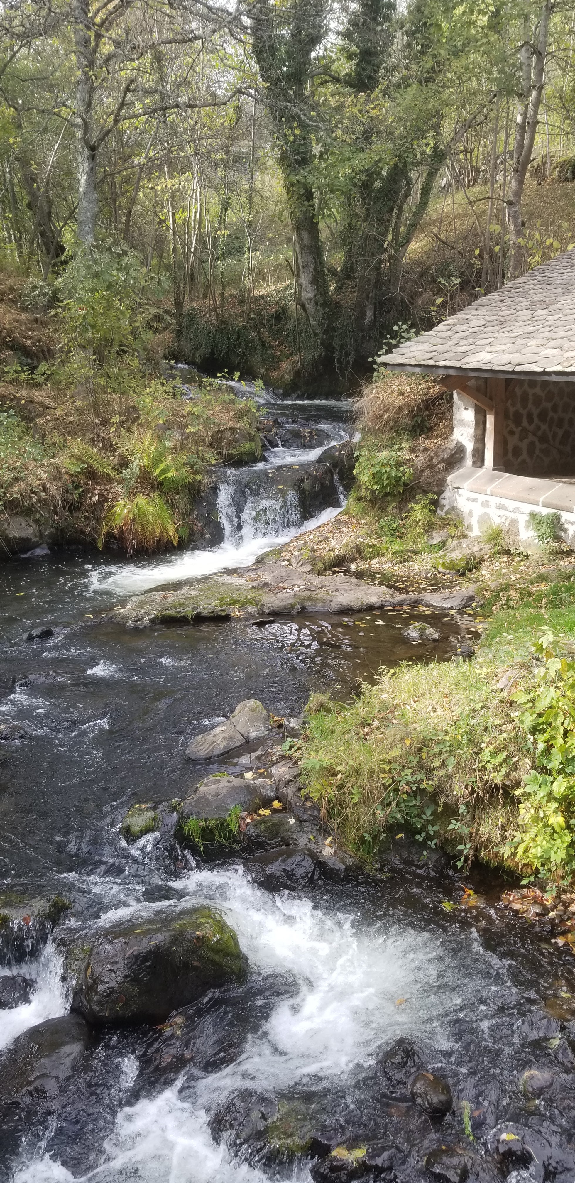 Photo n° 37 de l'avis de Céline.O fait le 31/10/2022 à 19:54