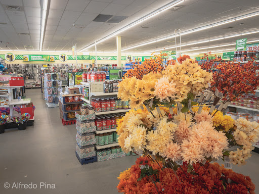 Dollar Store «Dollar Tree», reviews and photos, 9 Plaistow Rd, Plaistow, NH 03865, USA