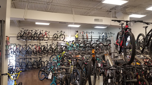 Bicycle Store «City Bikes Pembroke Pines», reviews and photos, 671 NW 100th Pl, Hollywood, FL 33024, USA