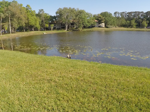 Youth Organization «YMCA», reviews and photos, 4550 Village Center Dr, Palm Harbor, FL 34685, USA