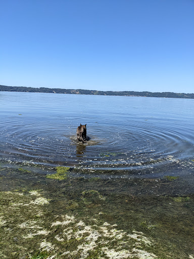 State Park «Dash Point State Park», reviews and photos, 5700 SW Dash Point Rd, Federal Way, WA 98023, USA