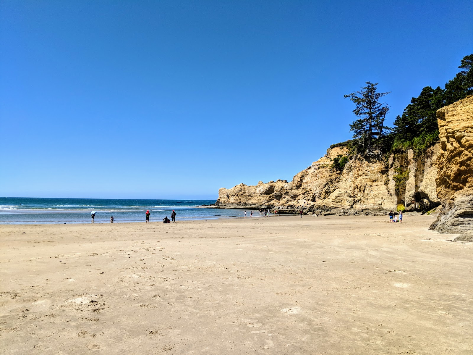 Foto van Otter Crest Beach met helder zand oppervlakte