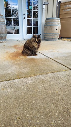 Livestock Breeder «Alpacas at Marquam Hill Ranch», reviews and photos, 35835 OR-213, Molalla, OR 97038, USA