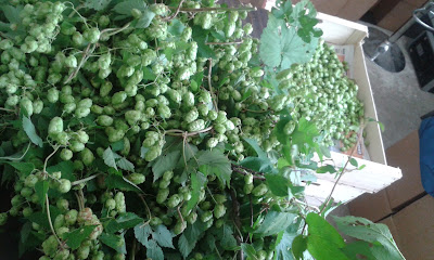 Le Houblon Gourmand - Brasserie Karadoc à Nanteuil-la-Fosse