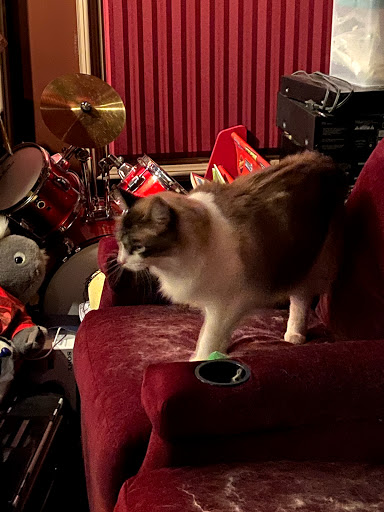 Municipality «South Pointe Park», reviews and photos, 5504 Switch Grass Ln, Naperville, IL 60564, USA