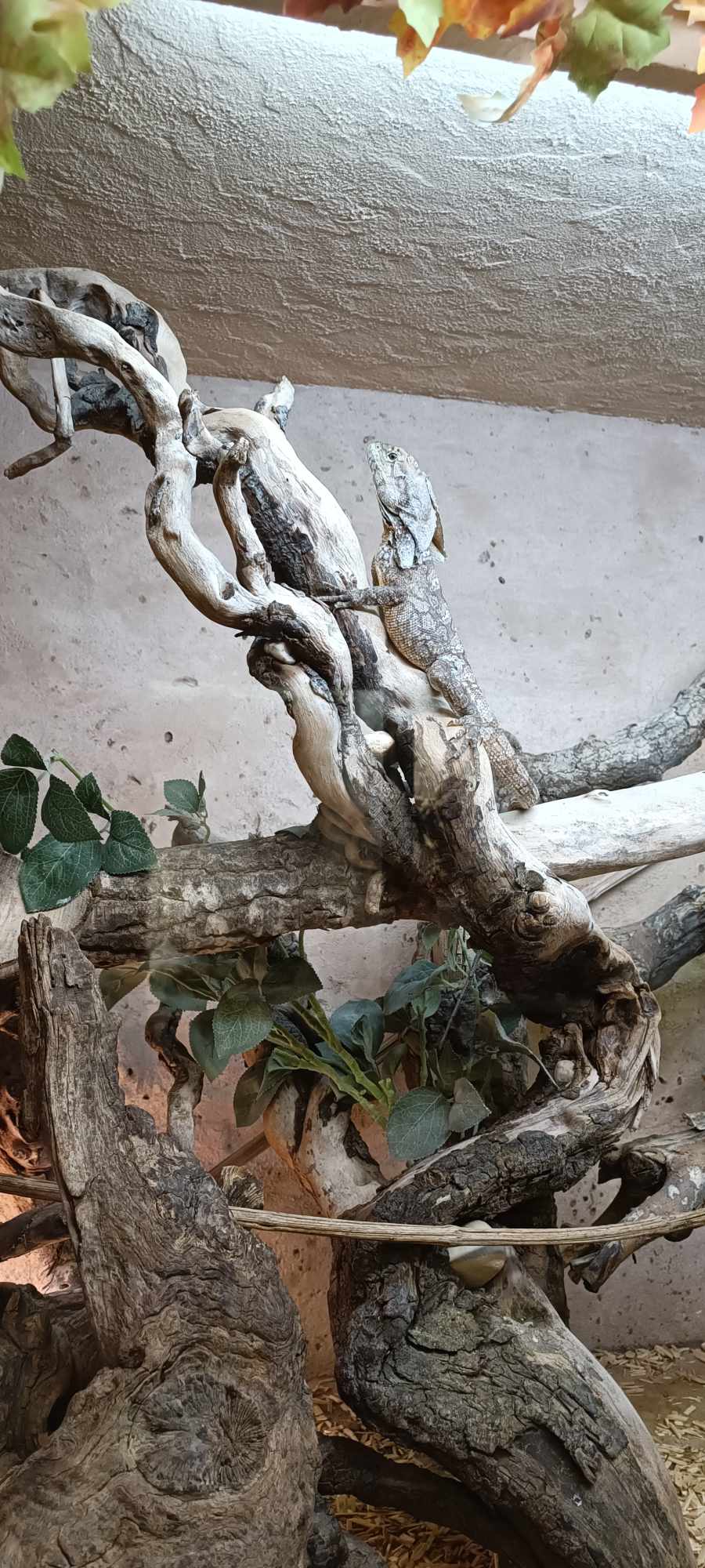 Photo n° 6 de l'avis de Aurore.i fait le 12/08/2023 à 08:58