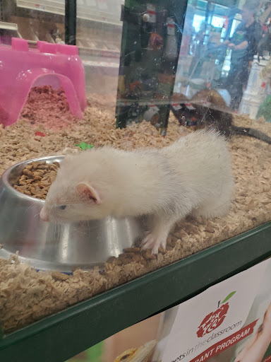 Pet Supply Store «Pet Supplies Plus», reviews and photos, 2057 S Telegraph Rd, Bloomfield Hills, MI 48302, USA